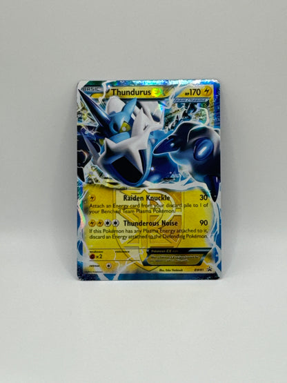 Thundurus Ex BW81 (NM)